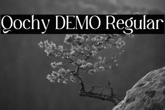 Qochy DEMO Regular Font examples