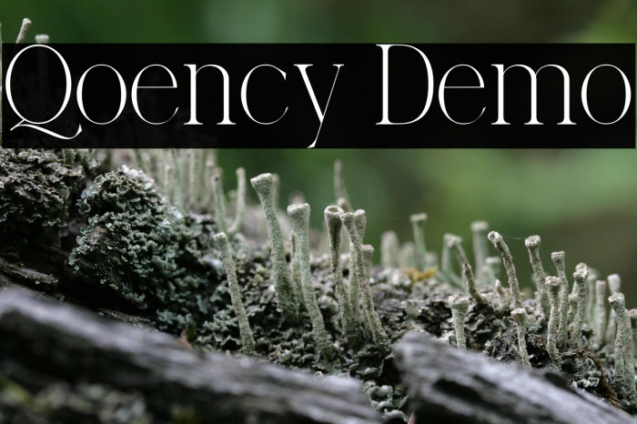 Qoency Demo Example 2