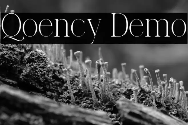 Qoency Demo Schriftart examples