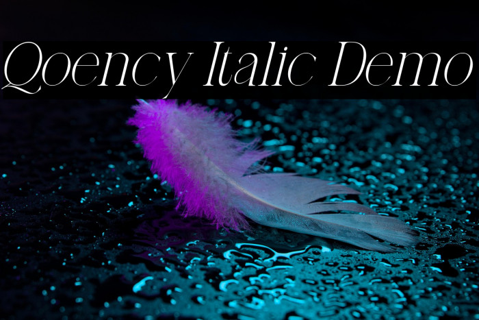 Qoency Italic Demo Example 2