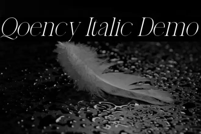 Qoency Italic Demo फ़ॉन्ट examples