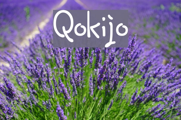 Qokijo Font examples