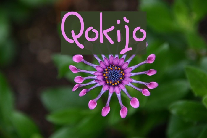 Qokijo Font examples