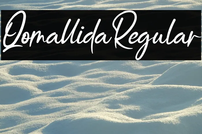 QomallidaRegular Example 1