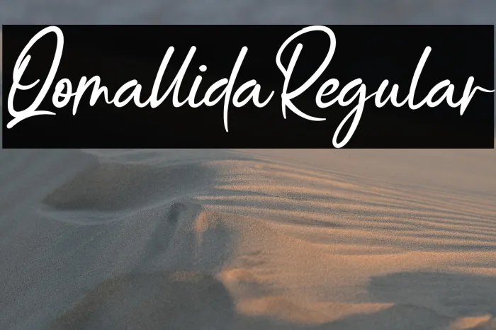 QomallidaRegular Example 2