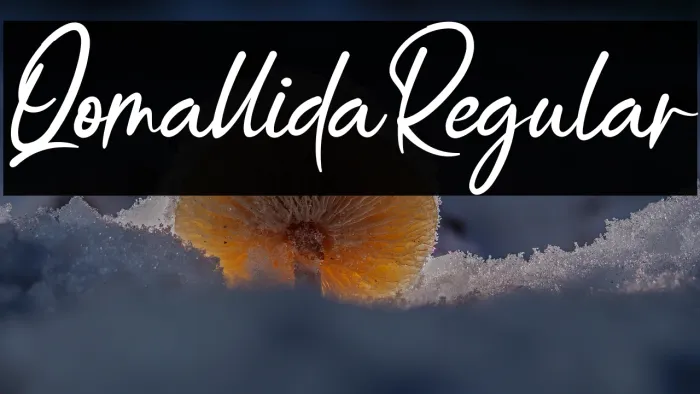 QomallidaRegular Example 3