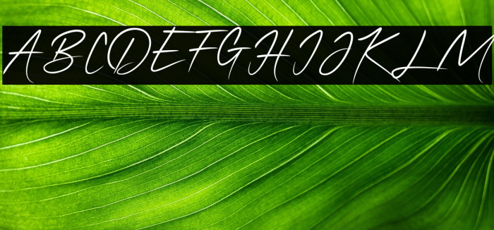 QonitaSignature Example 2