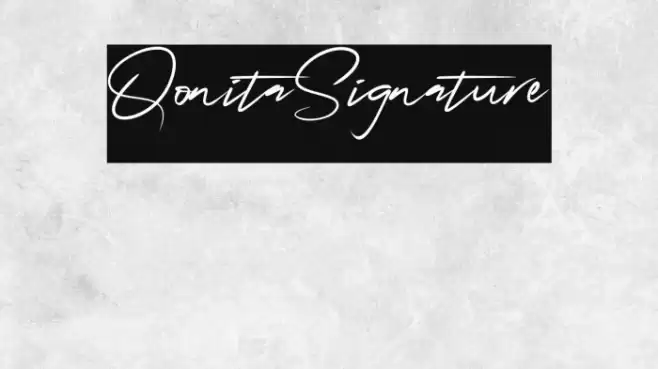 QonitaSignature Font examples