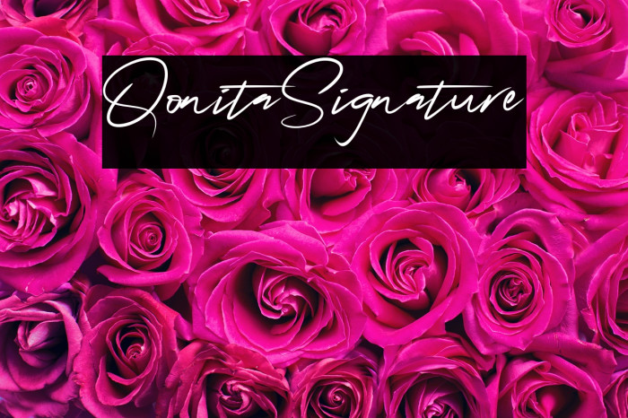 QonitaSignature Example 2