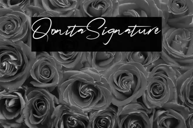 QonitaSignature Font examples