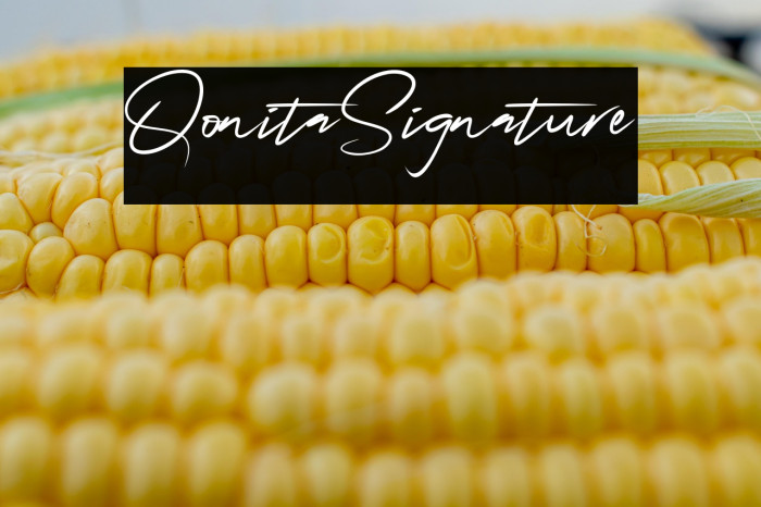 QonitaSignature Example 3