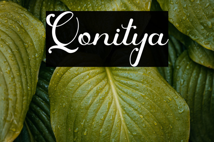 Qonitya Example 1