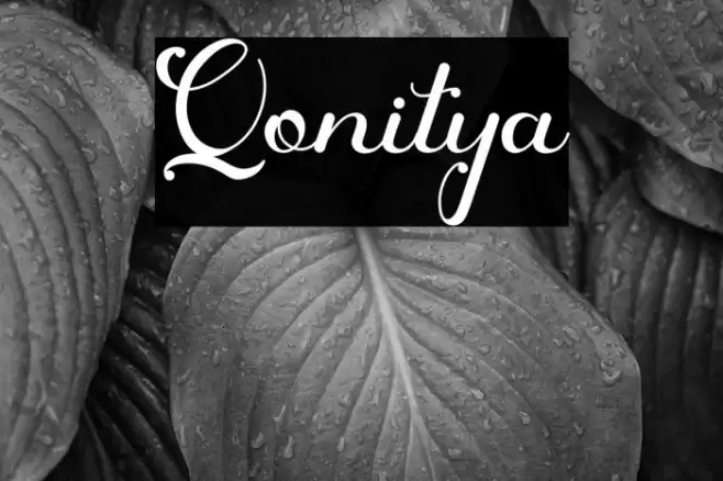 Qonitya Font examples