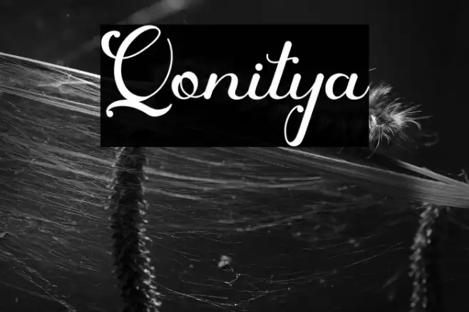 Qonitya Font examples