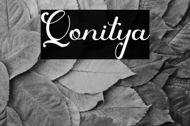 Qonitya Font examples