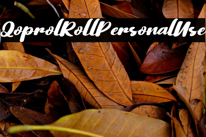 QoprolRollPersonalUse Example 1