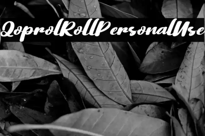 QoprolRollPersonalUse Font examples