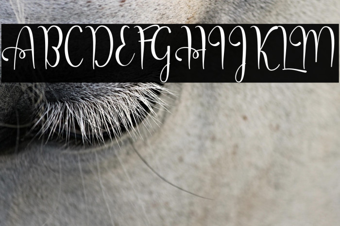 QorlynaScript Example 1