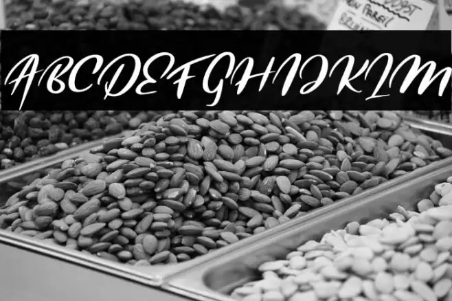 QorsFREE Font examples