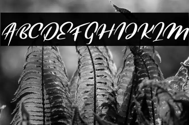 QorsFREE Font examples