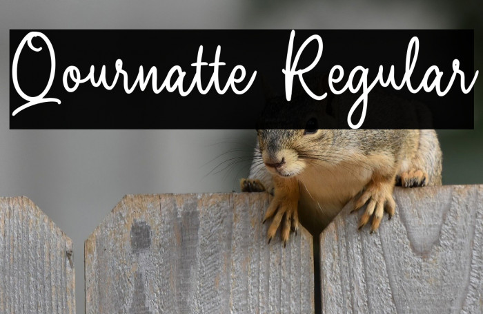 Qournatte Regular Example 1