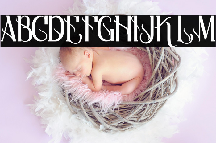 Qramesy Demo Example 1