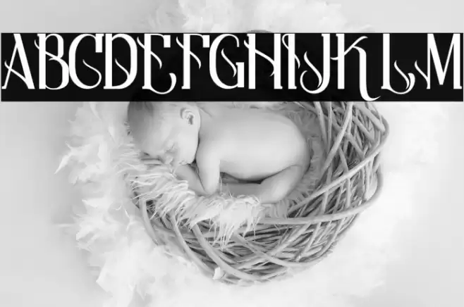 Qramesy Demo Fuentes examples