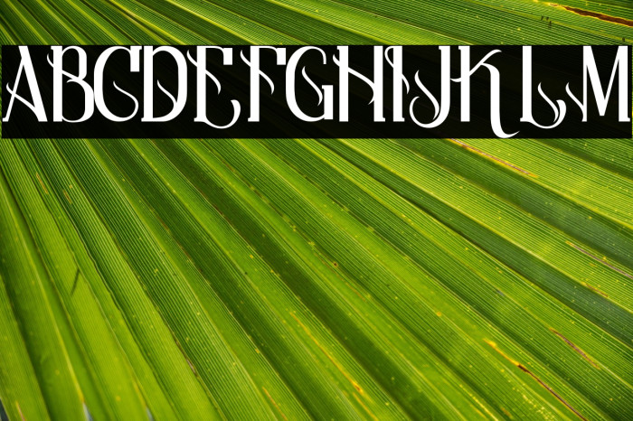 Qramesy Demo Example 2