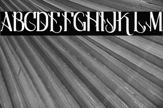 Qramesy Demo Fuentes examples