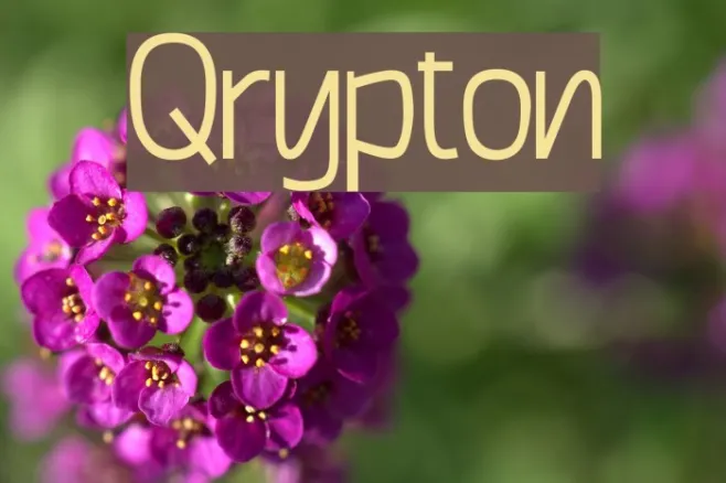 Qrypton Example 3