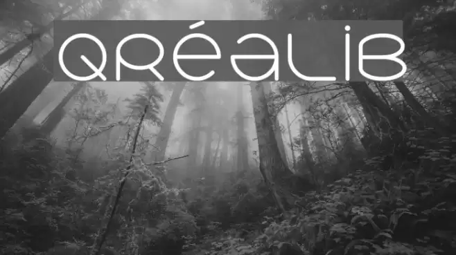 qréalib Font examples
