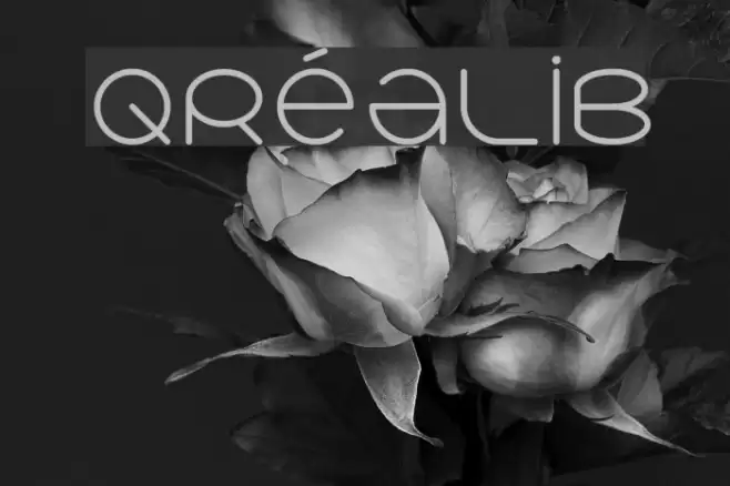 qréalib Font examples
