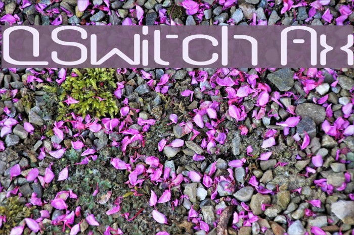 QSwitch Ax Font examples