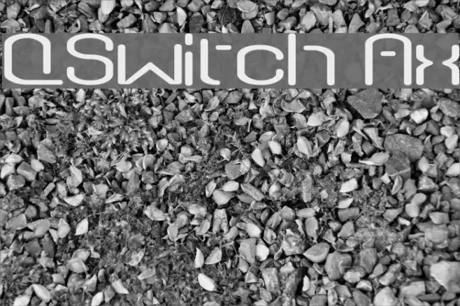 QSwitch Ax Schriftart examples