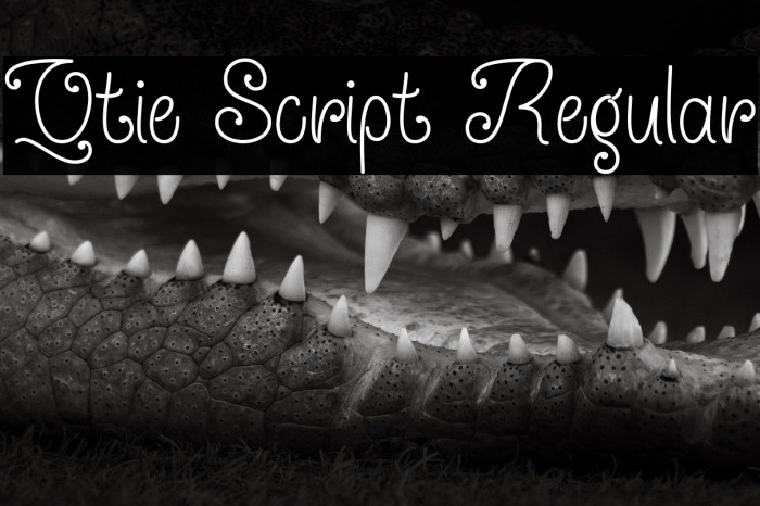 Qtie Script Regular Example 1