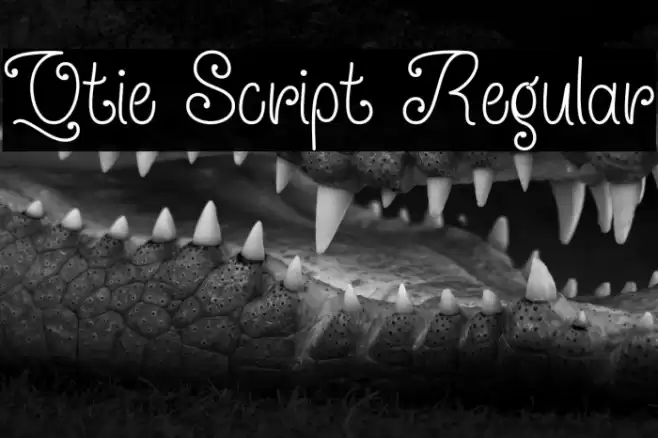 Qtie Script Regular Font examples