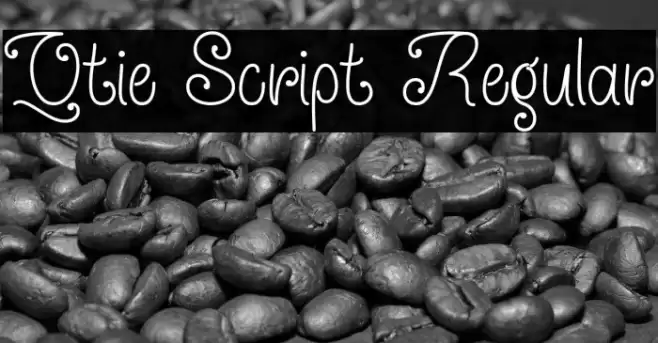 Qtie Script Regular Font examples