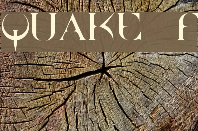 QUAKE Example 2