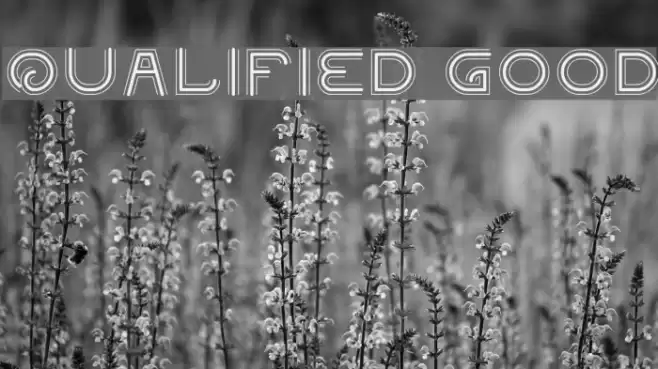 QUALIFIED GOOD Font examples