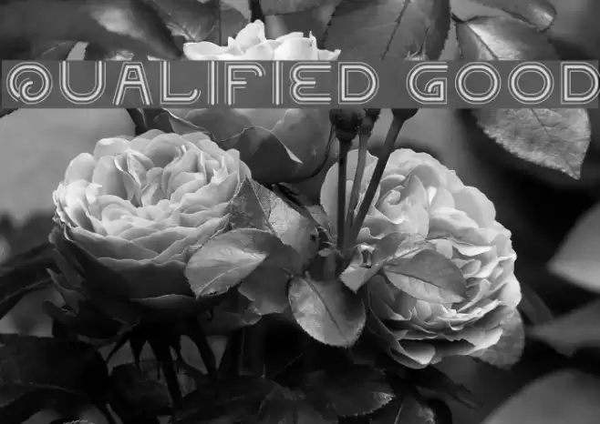 QUALIFIED GOOD Font examples