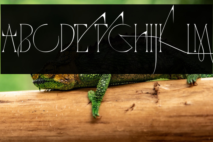 QUARANTINE REGULATIONS Regular Example 2