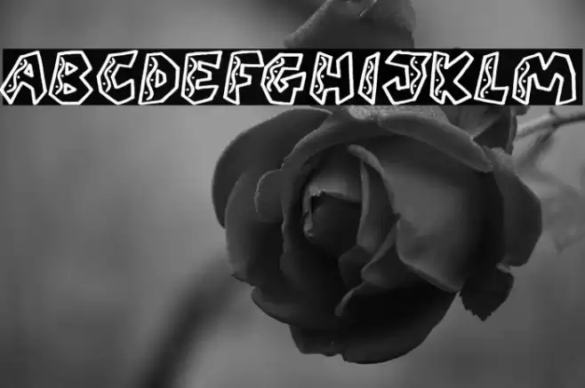 QUARANTINE festival (PERSONAL U Font examples