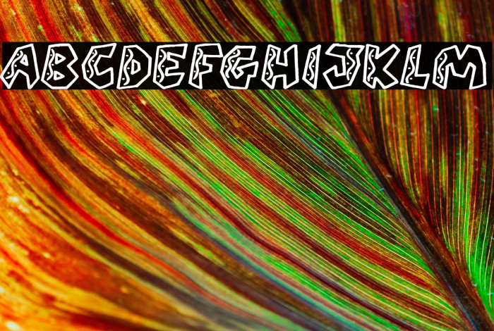 QUARANTINE festival (PERSONAL U Example 2