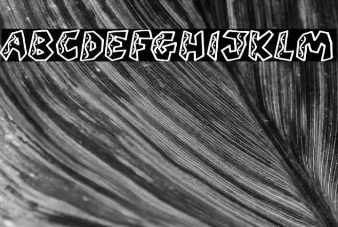 QUARANTINE festival (PERSONAL U Font examples