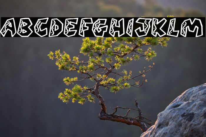 QUARANTINE festival (PERSONAL U Example 3