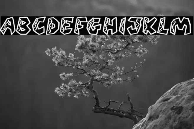 QUARANTINE festival (PERSONAL U Font examples