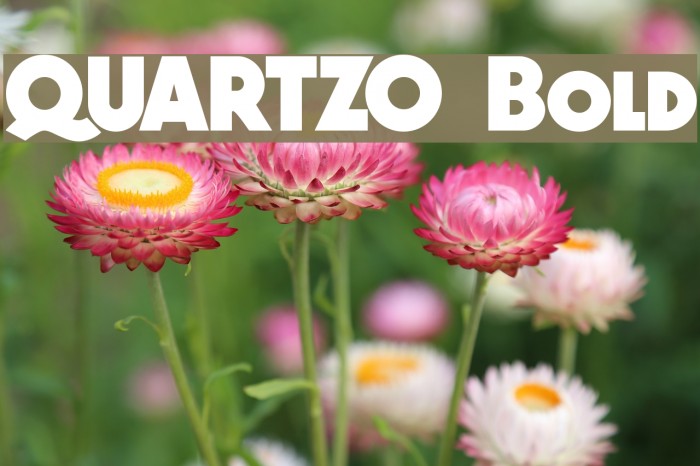 QUARTZO Bold Font examples