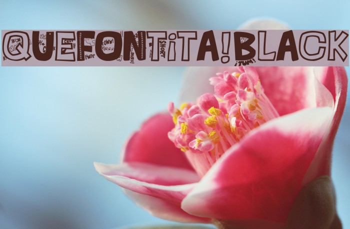 QUEFONTita!-Black Example 1