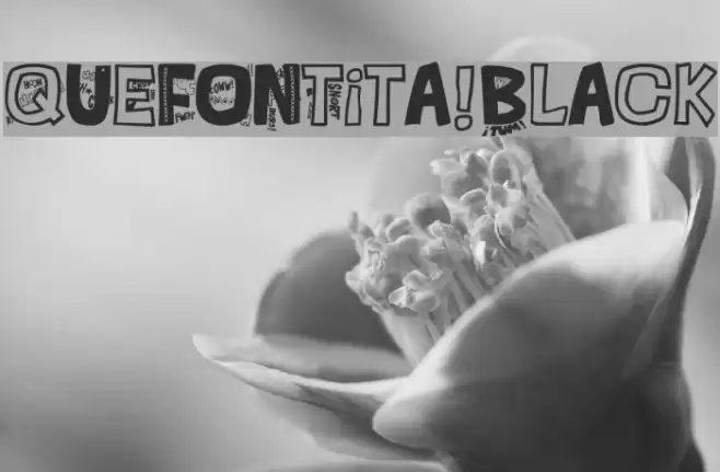 QUEFONTita!-Black Font examples