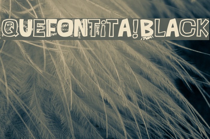 QUEFONTita!-Black Example 3